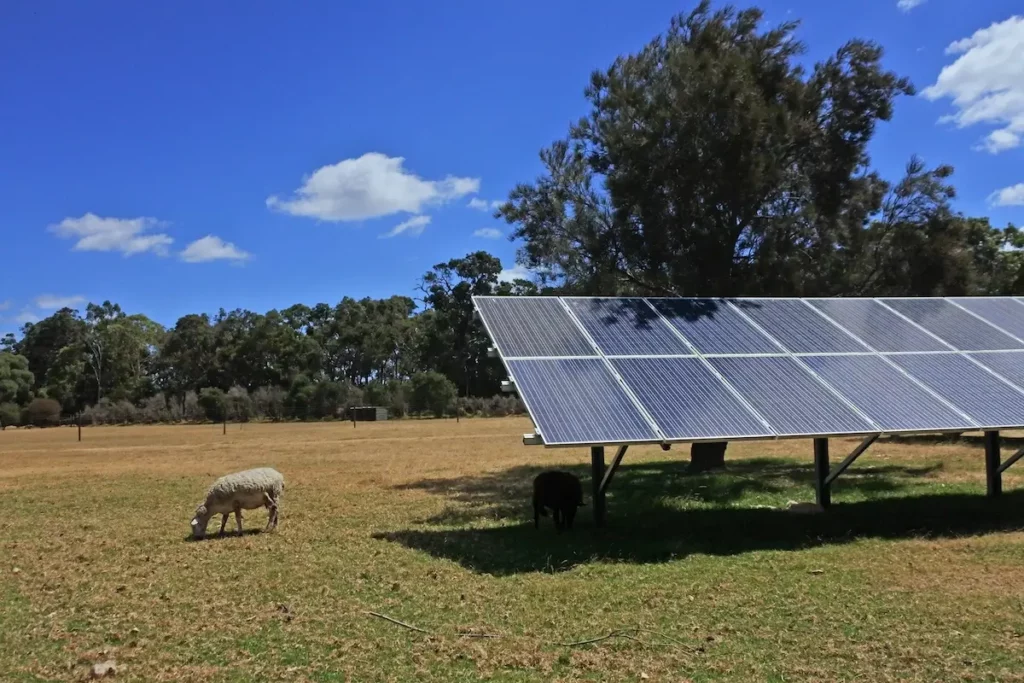 A solar panel is installed in a grassy field under a clear blue sky. Two sheep are grazing nearby, one under the panel's shade. Trees and a few clouds are visible in the background.