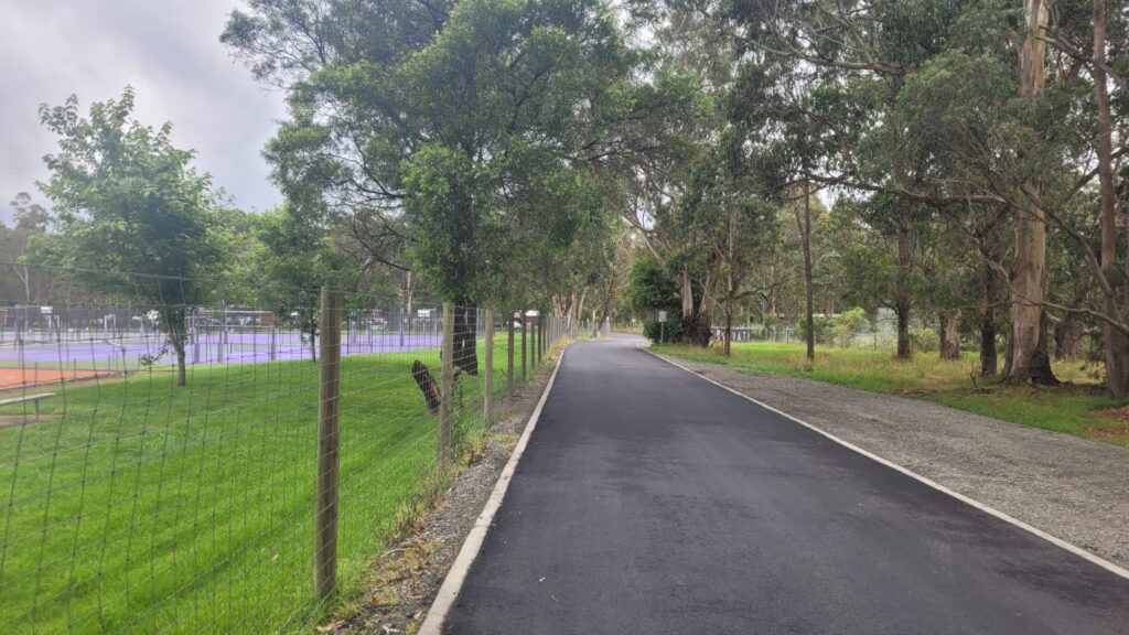 A paved path runs through a park with trees lining both sides. A chain-link fence separates the path from a purple tennis court on the left. The sky is overcast, casting a soft, diffused light over the scene.