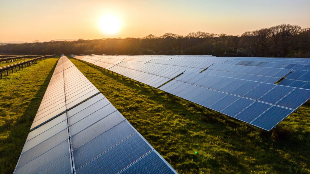 A vast field of solar panels on green grass captures sunlight during sunset. The sky is clear and orange, and trees line the horizon in the background.