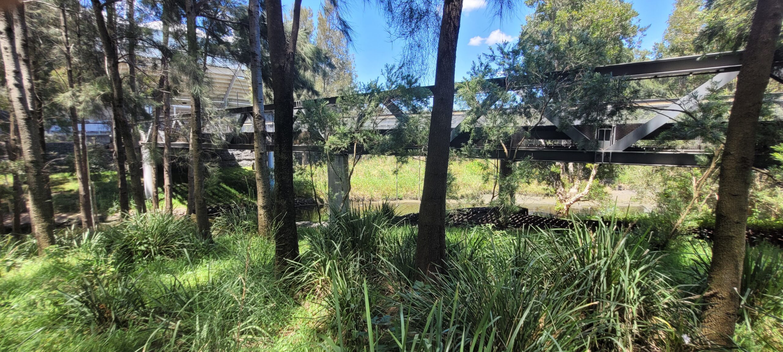 A lush forest scene with tall trees and dense green vegetation. A metal walkway is partially visible in the background, blending with the surroundings. Sunlight filters through the trees, casting dappled shadows on the ground.