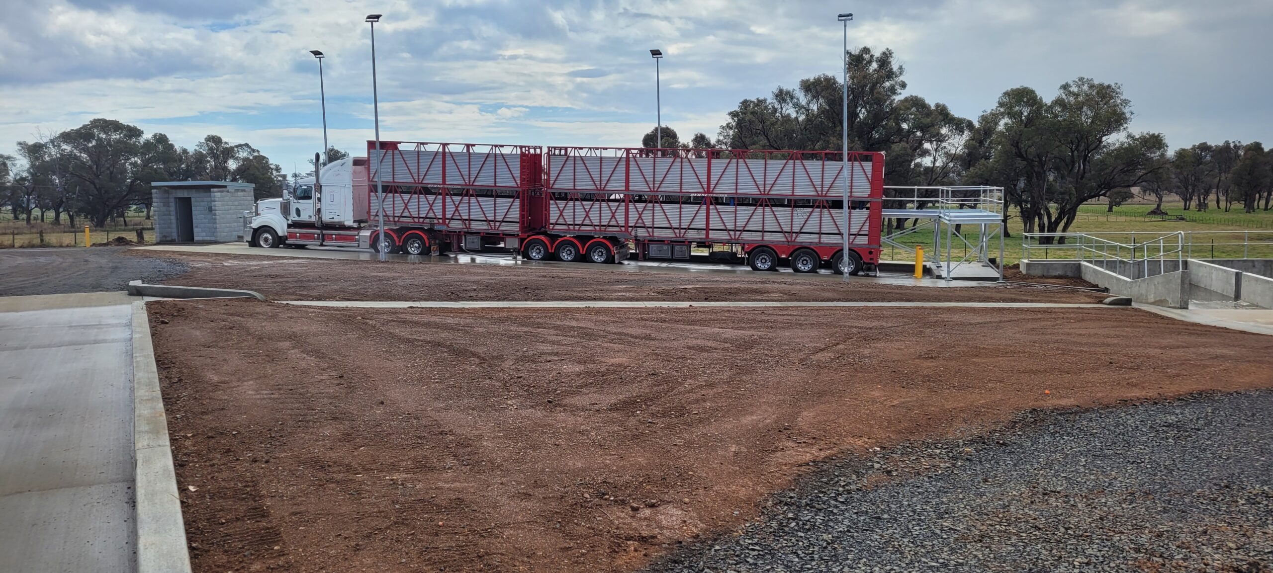 A large white and red livestock transport truck is parked on a dirt area near a small building. Trees and a cloudy sky are in the background. The area appears rural and spacious.