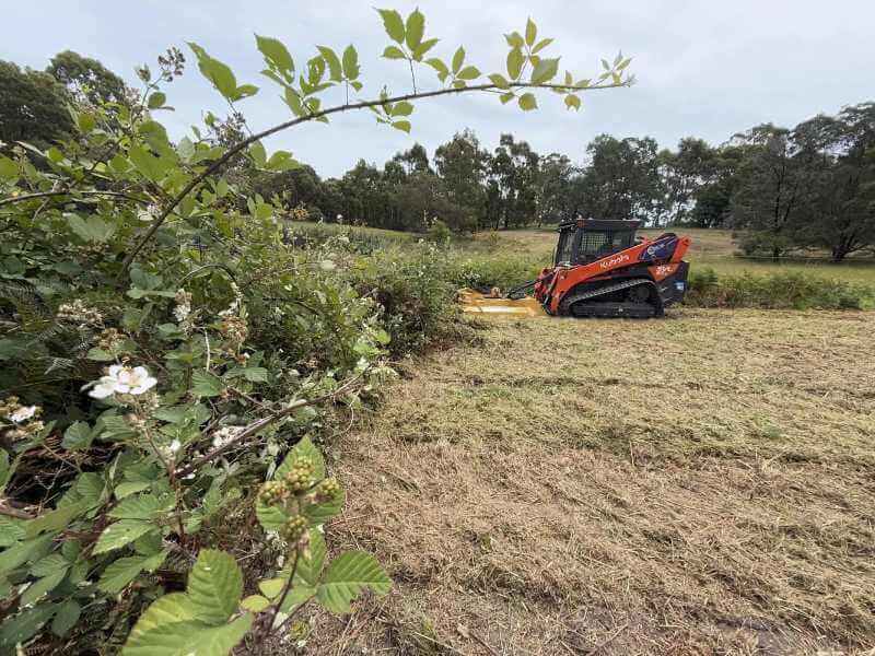 machine mowing grass