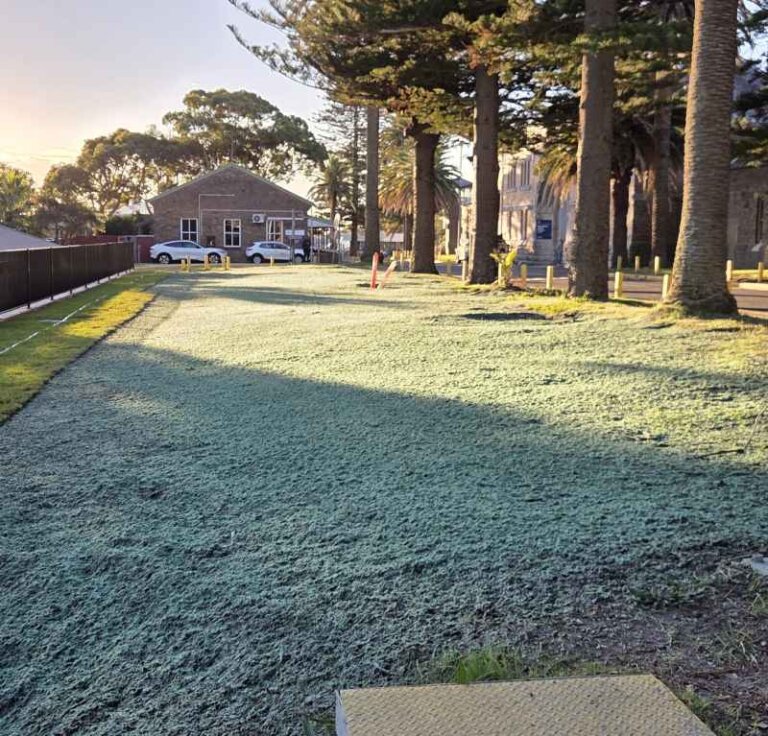 Revegetation Services in Sydney
