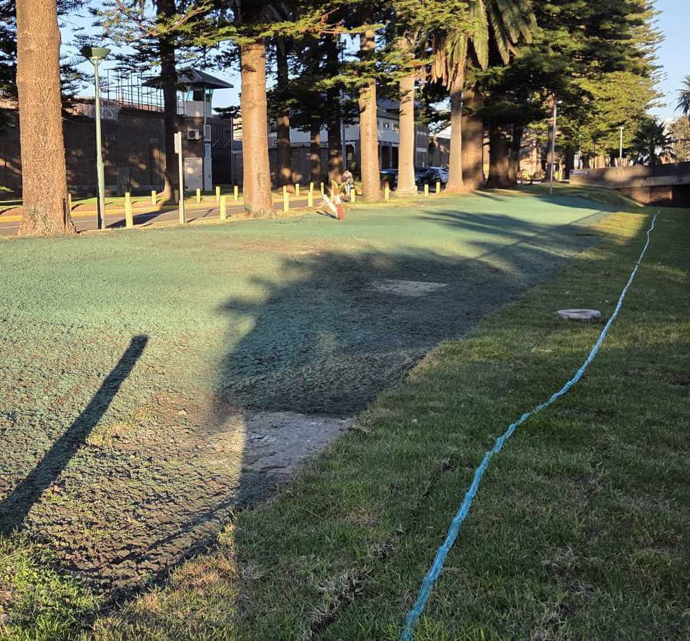 Revegetation Services in Sydney